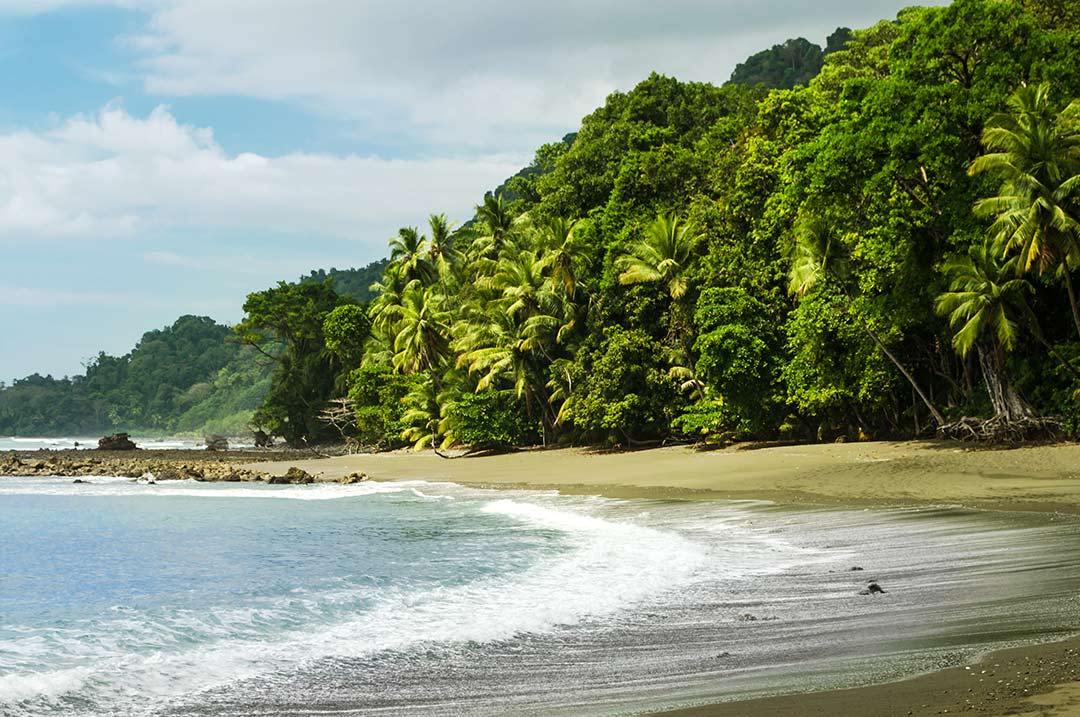 Costa Rican Beach