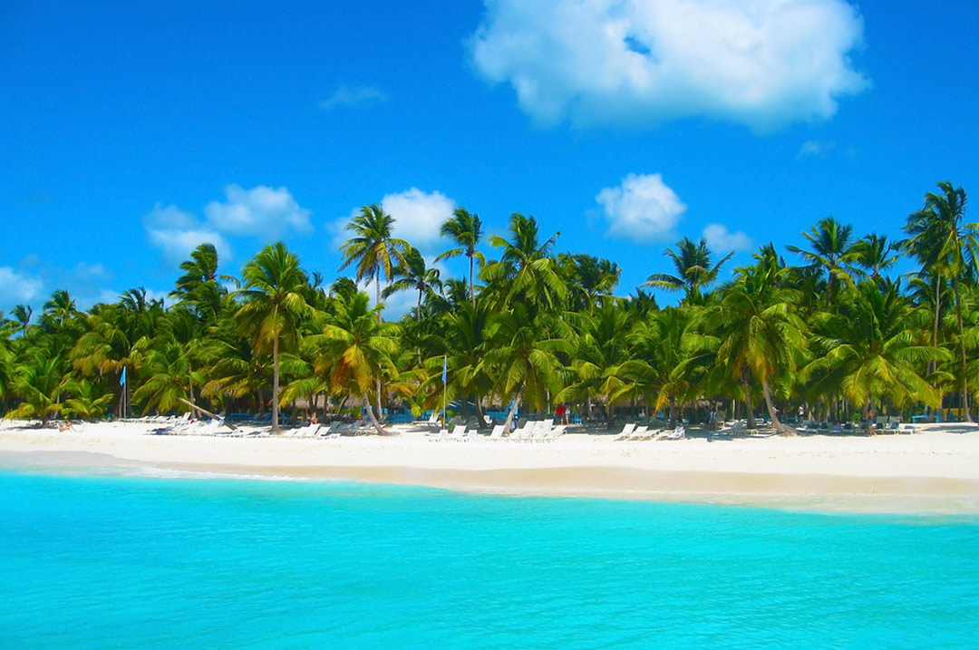 View of the beach