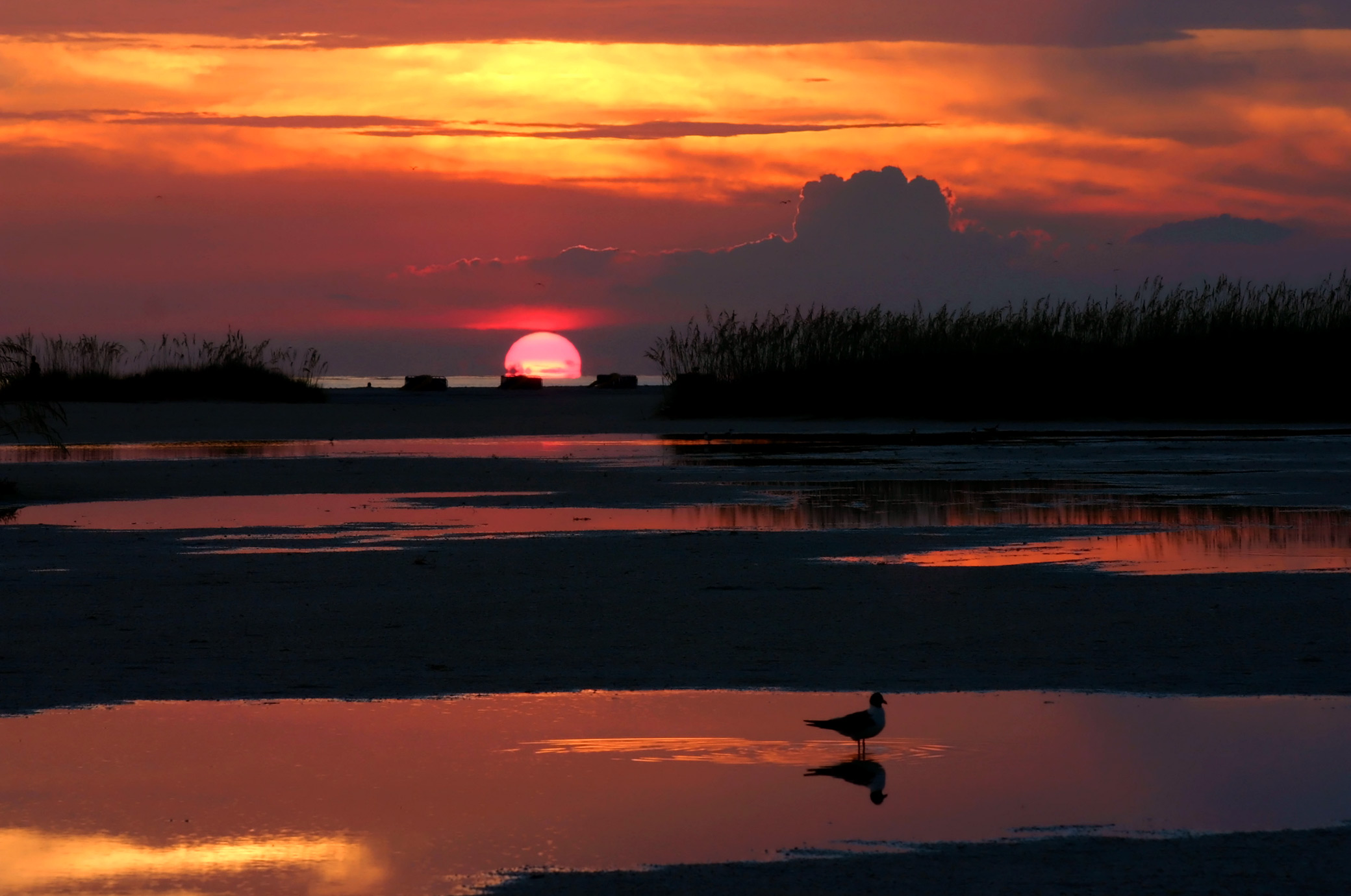 Treasure Island — Tampa, FL