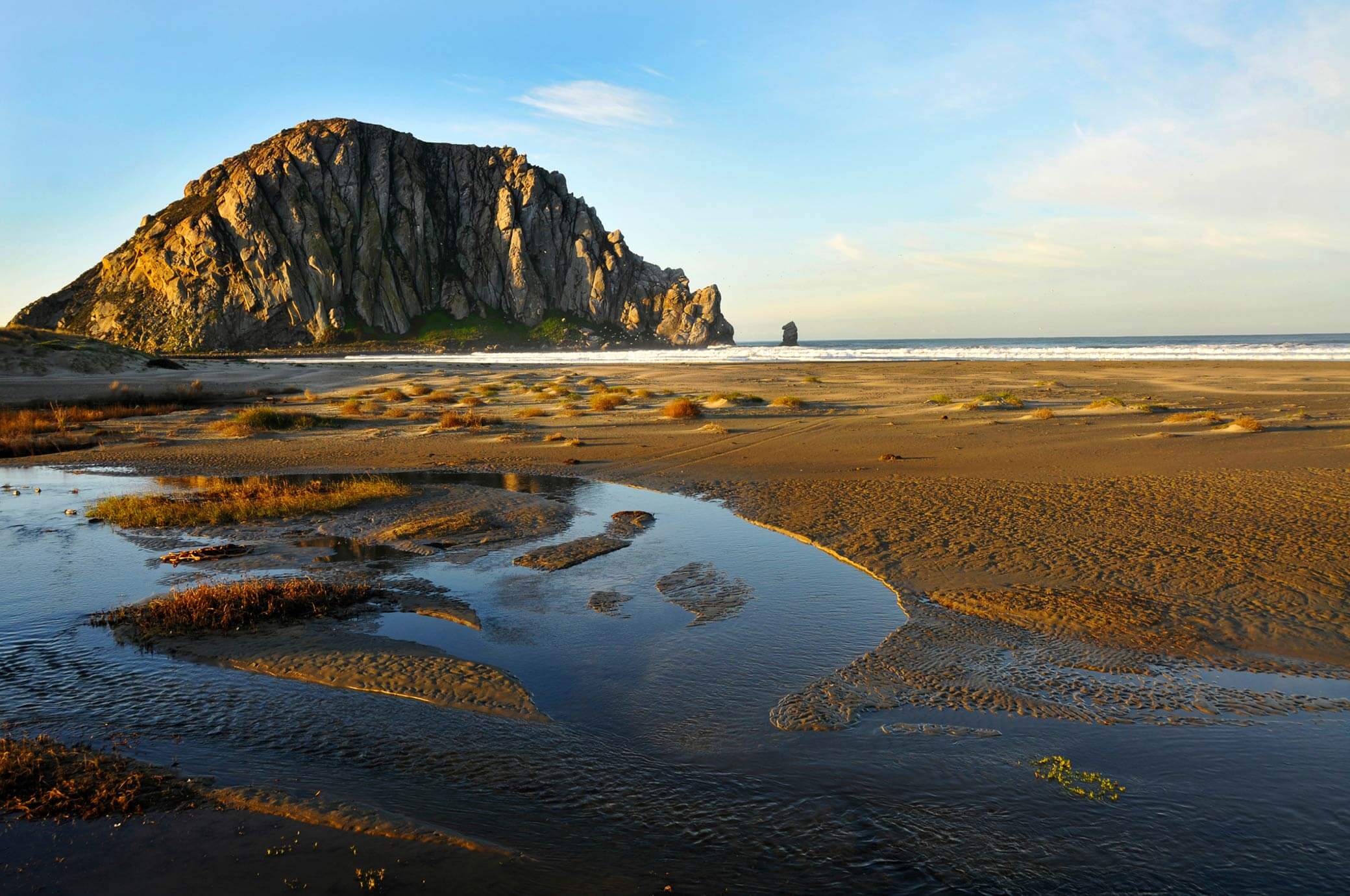 Central Coast shoreline