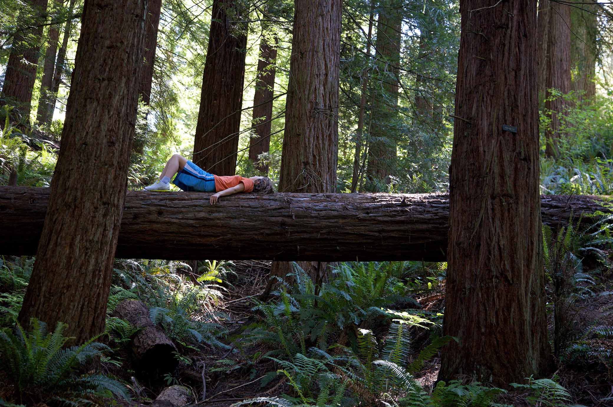 Image of kid hiking in Forest Park is an example of things to do in portland