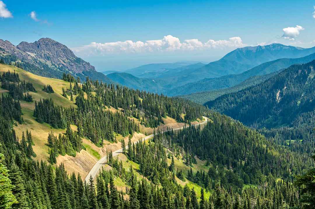 Image of the sweeeping views atop Hurricane Ridge in the summer