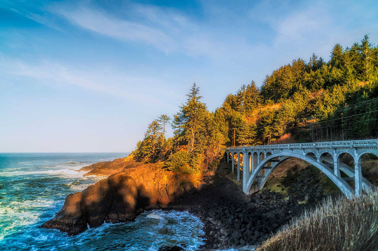Oregon Coast Highway image
