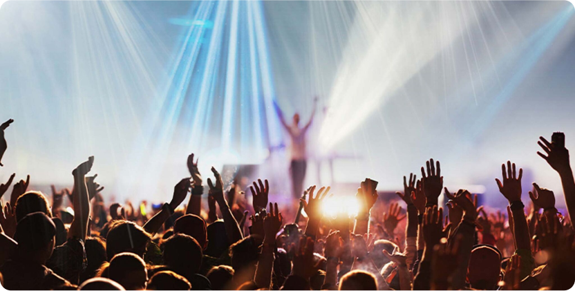 image of people attending a concert