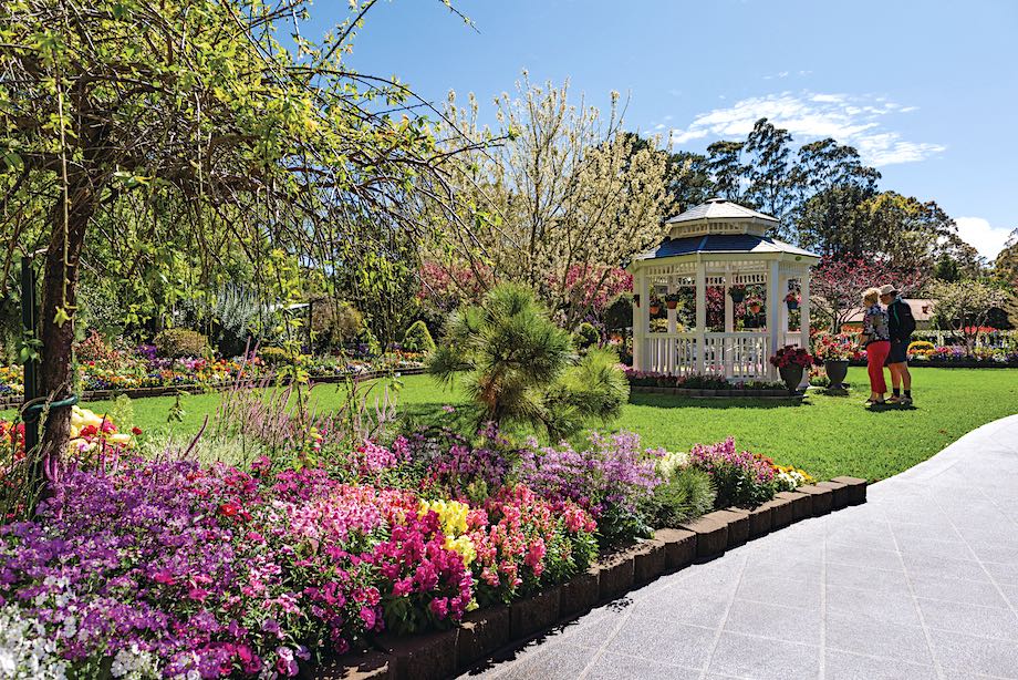Toowoomba