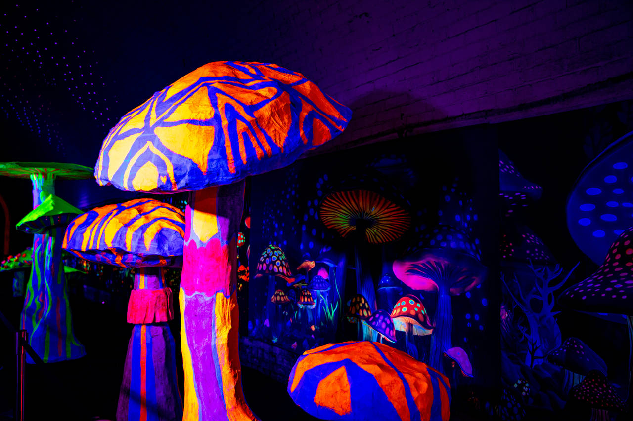 Adelaide Fringe