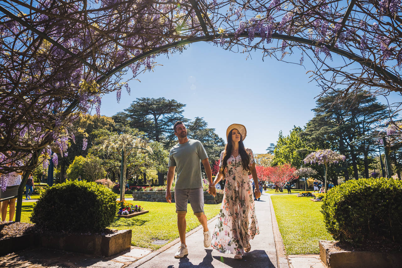 Toowoomba carnival of flowers