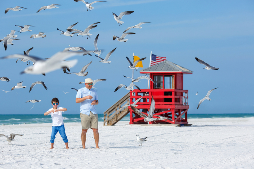 Image of a father and son feeding seagulls on a Clearwater beach