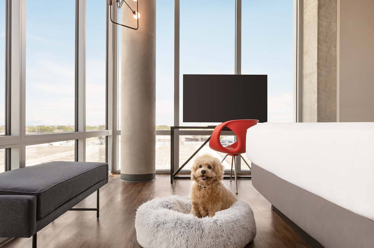 Radisson RED Miami Airport pet friendly
