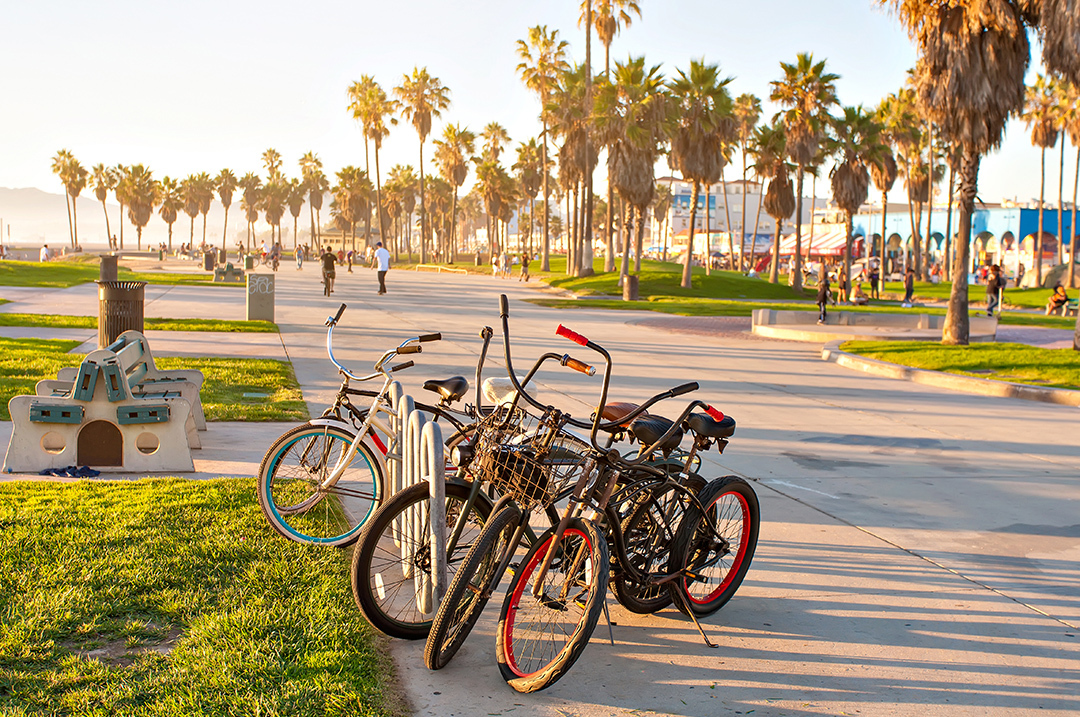 A group of bikes parked along the Venice Beach boardwalk