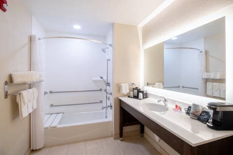 Accessible bathroom | Econo Lodge, Foley AL Hotels