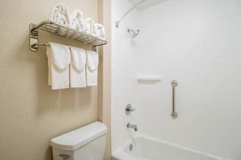 Bathroom in guest room | Econo Lodge, Foley AL Hotels