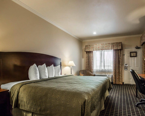 Spacious guest room