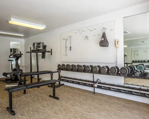 Exercise room with cardio equipment and weights