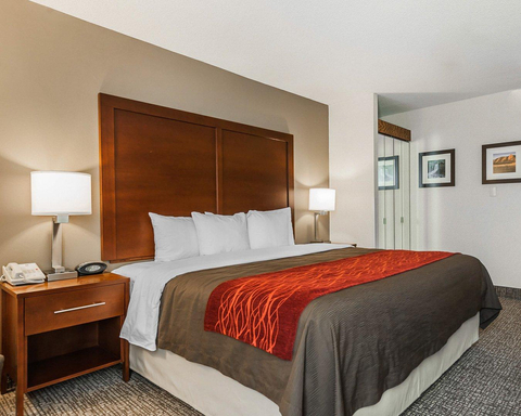 Guest room with king bed | Comfort Inn, Denver CO Hotels