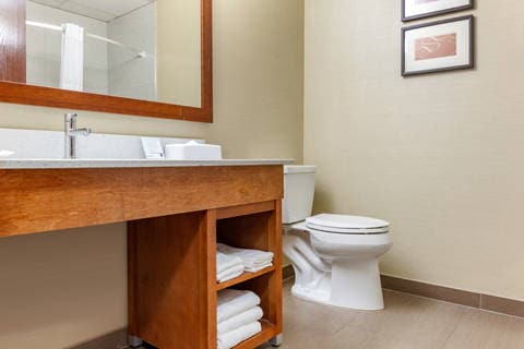 Bathroom in suite | Comfort Suites, Dover DE Hotels