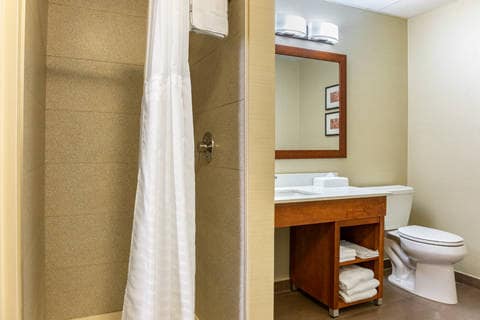 Bathroom in suite | Comfort Suites, Dover DE Hotels
