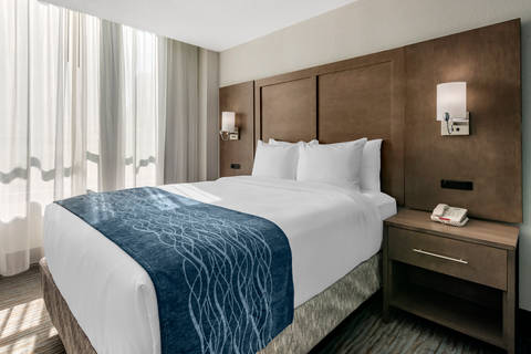 Guest room with one bed | Comfort Inn, Miami FL Hotels