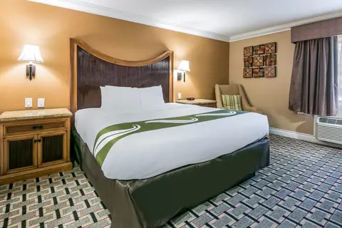 Guest room with king bed(s) | Quality Inn, College-park GA Hotels