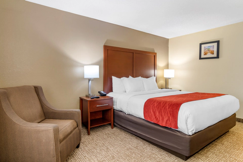Guest room with king bed(s) | Comfort Inn, Macon GA Hotels