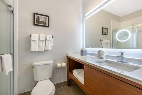 Bathroom | Comfort Suites, Council-bluffs IA Hotels