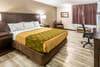 Guest room with one bed | Econo Lodge, Newton IA Hotels