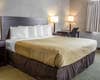 Ames, IA Hotels | Econo Lodge near Iowa State University