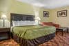 Guest room with sofa sleeper | Quality Inn, Bloomington IN Hotels