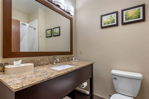 Bath | Comfort Suites, Auburn IN Hotels