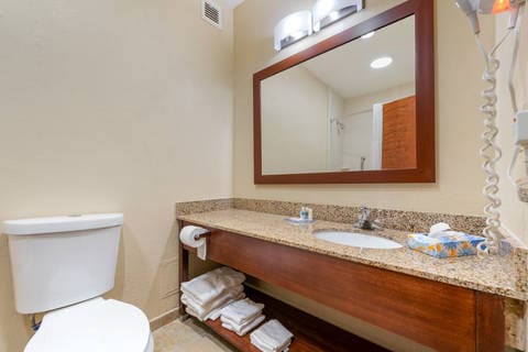 Bath | Comfort Inn, Michigan-city IN Hotels