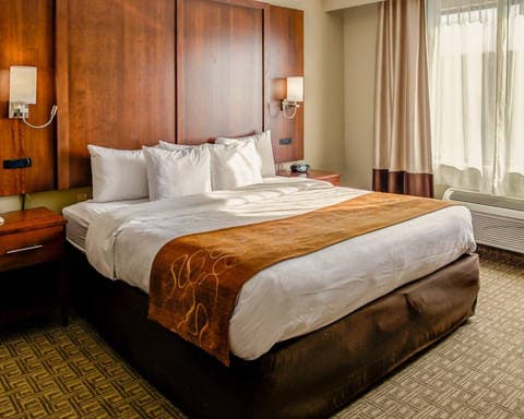 Suite with king bed | Comfort Suites, Georgetown KY Hotels