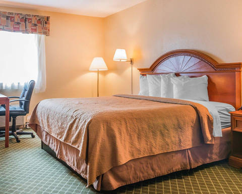 Spacious guest room | Quality Inn and Suites in Romulus, MI