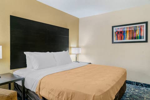 Accessible Room with King bed | Quality Inn, Livonia MI Hotels