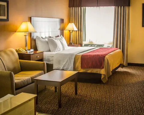 King suite with sofa sleeper