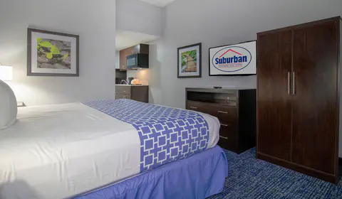 Guest room with one bed | Suburban, Roseville MI Hotels
