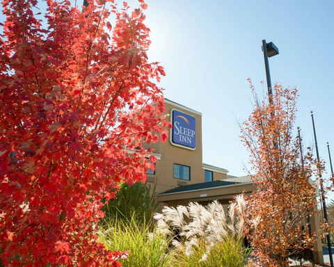 Beautiful flowers and shrubs surrounding the hotel