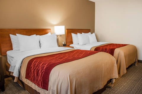 Guest room with double beds | Comfort Inn, Dickinson ND Hotels
