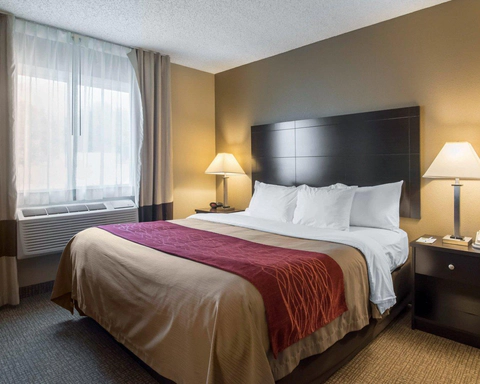 Guest room with king bed | Comfort Inn hotel in Saugerties, NY