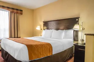 Spacious guest room | Comfort Inn, Maspeth NY Hotels