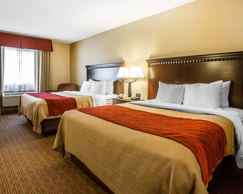 Guest room with queen beds | Quality Inn, Greenville OH Hotels