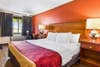 Guest room with king bed(s) | Econo Lodge, Norwalk OH Hotels