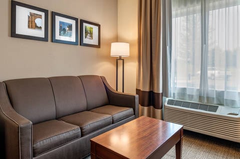 Suite with queen bed(s) | Comfort Suites, Columbus OH Hotels