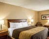 Guest room with king bed | Comfort Inn, Springboro OH hotels