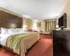 Spacious guest room