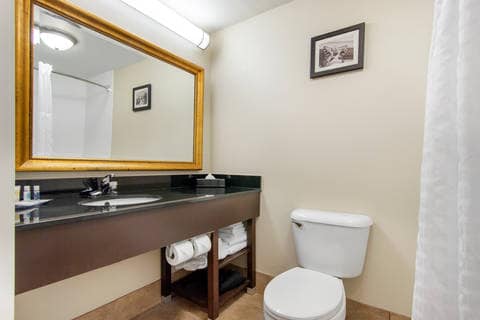 Bathroom in guest room | Comfort Inn, Norman OK Hotels