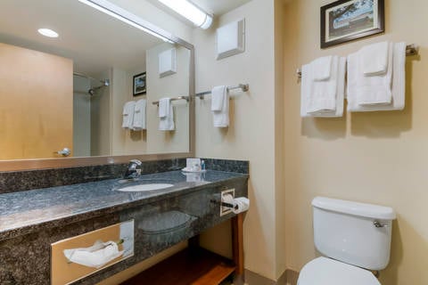 Vanity in bathroom | Comfort Inn, Mechanicsburg PA Hotels