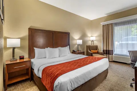 Guest room with king bed(s) | Comfort Inn, Kingsport TN Hotels