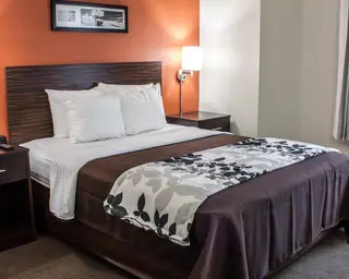 Beautifully furnished guest room | Arlington TX Hotels | Sleep Inn Design to Dream Hotel
