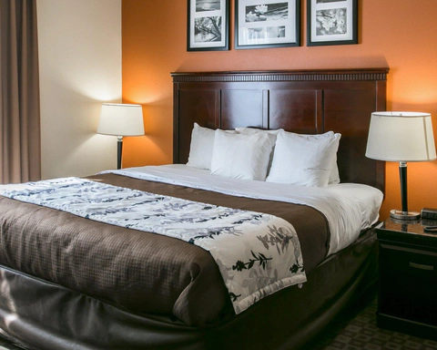 Suite with king bed