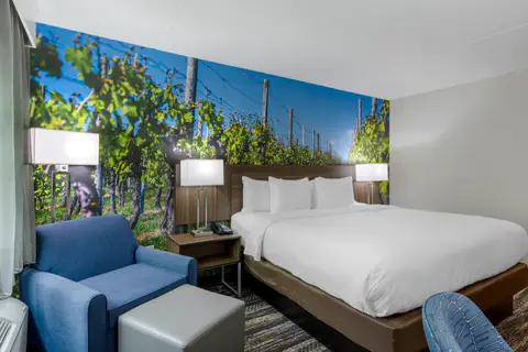 Guest room with king bed(s) | Clarion, Charlottesville VA Hotels